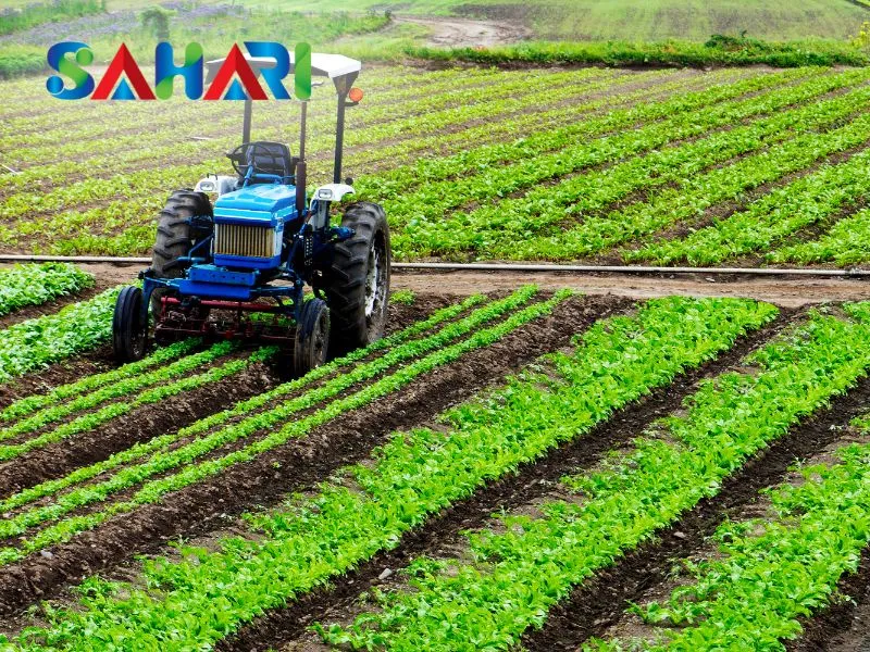 Phân bón trở thành ngành thiết yếu