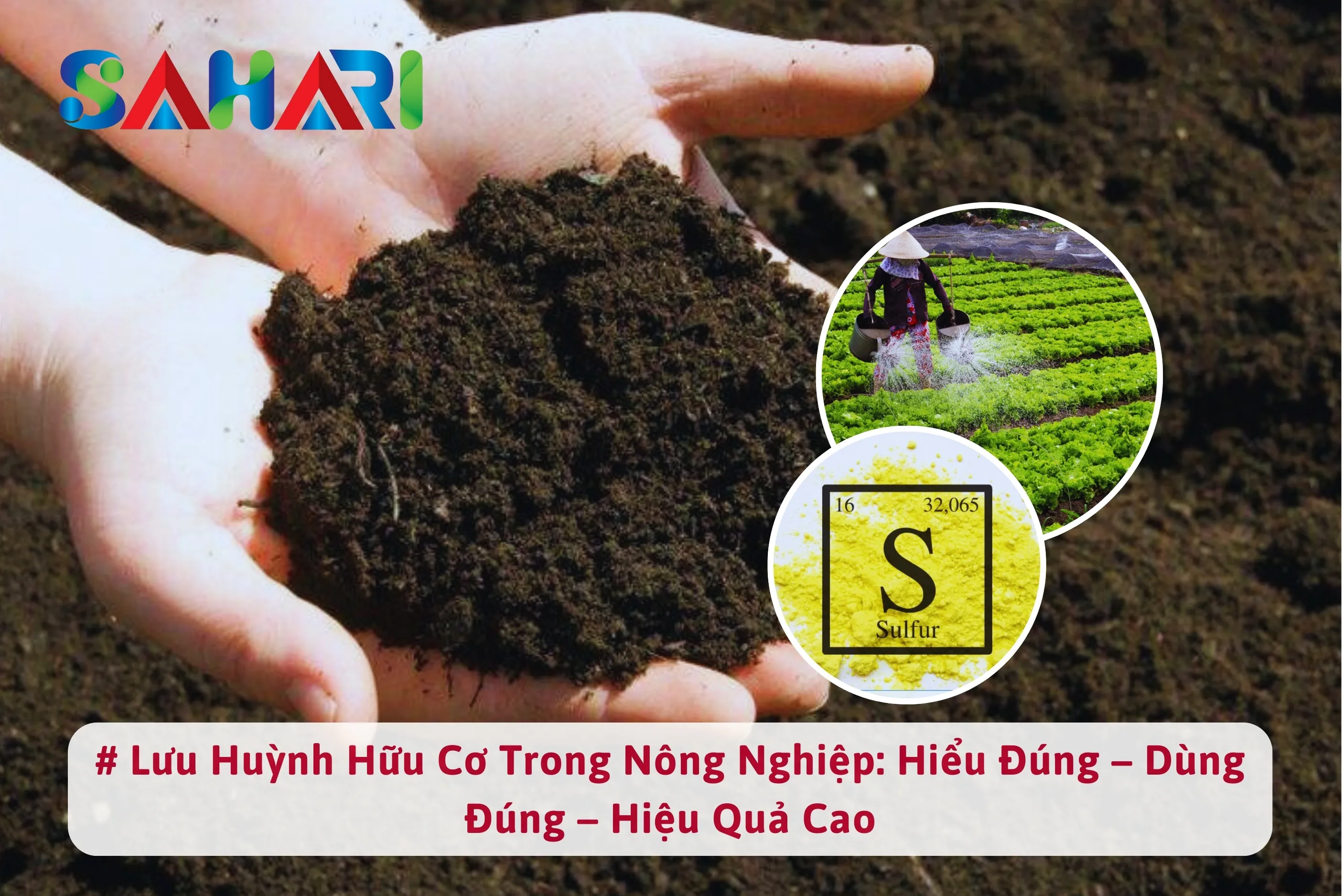 Lưu Huỳnh Hữu Cơ Trong Nông Nghiệp: Hiểu Đúng – Dùng Đúng – Hiệu Quả Cao