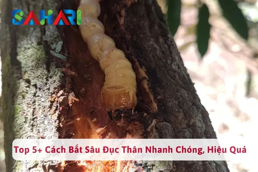 #1 Top 5+ Cách Bắt Sâu Đục Thân Nhanh Chóng, Hiệu Quả