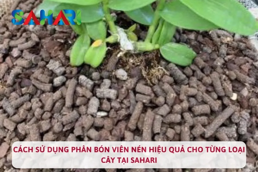 Cách Sử Dụng Phân Bón Viên Nén Hiệu Quả Cho Từng Loại Cây Tại SAHARI