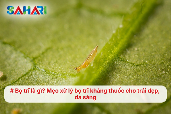 Bọ trĩ là gì? Mẹo xử lý bọ trĩ kháng thuốc cho trái đẹp, da sáng