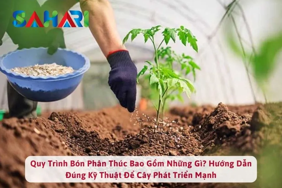 Quy Trình Bón Phân Thúc Bao Gồm Những Gì? Hướng Dẫn Đúng Kỹ Thuật Để Cây Phát Triển Mạnh