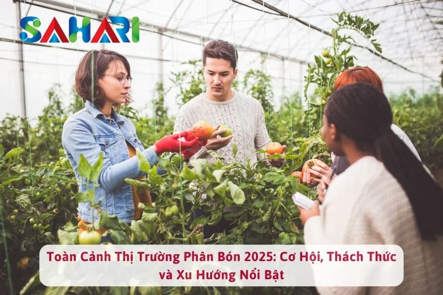 Toàn Cảnh Thị Trường Phân Bón 2025: Cơ Hội, Thách Thức và Xu Hướng Nổi Bật