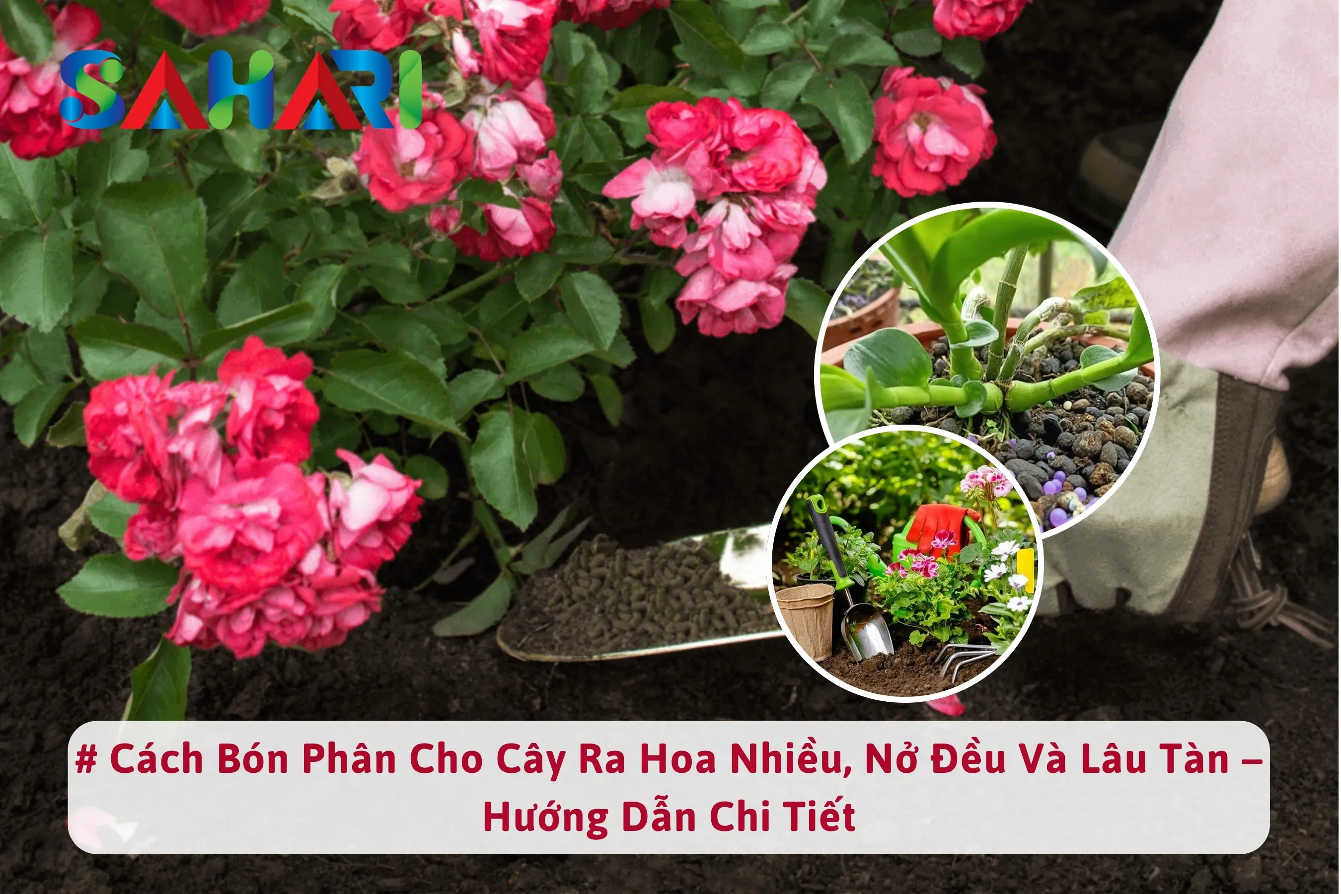 CÁCH BÓN PHÂN CHO CÂY RA HOA NHIỀU, NỞ ĐỀU VÀ LÂU TÀN – HƯỚNG DẪN CHI TIẾT