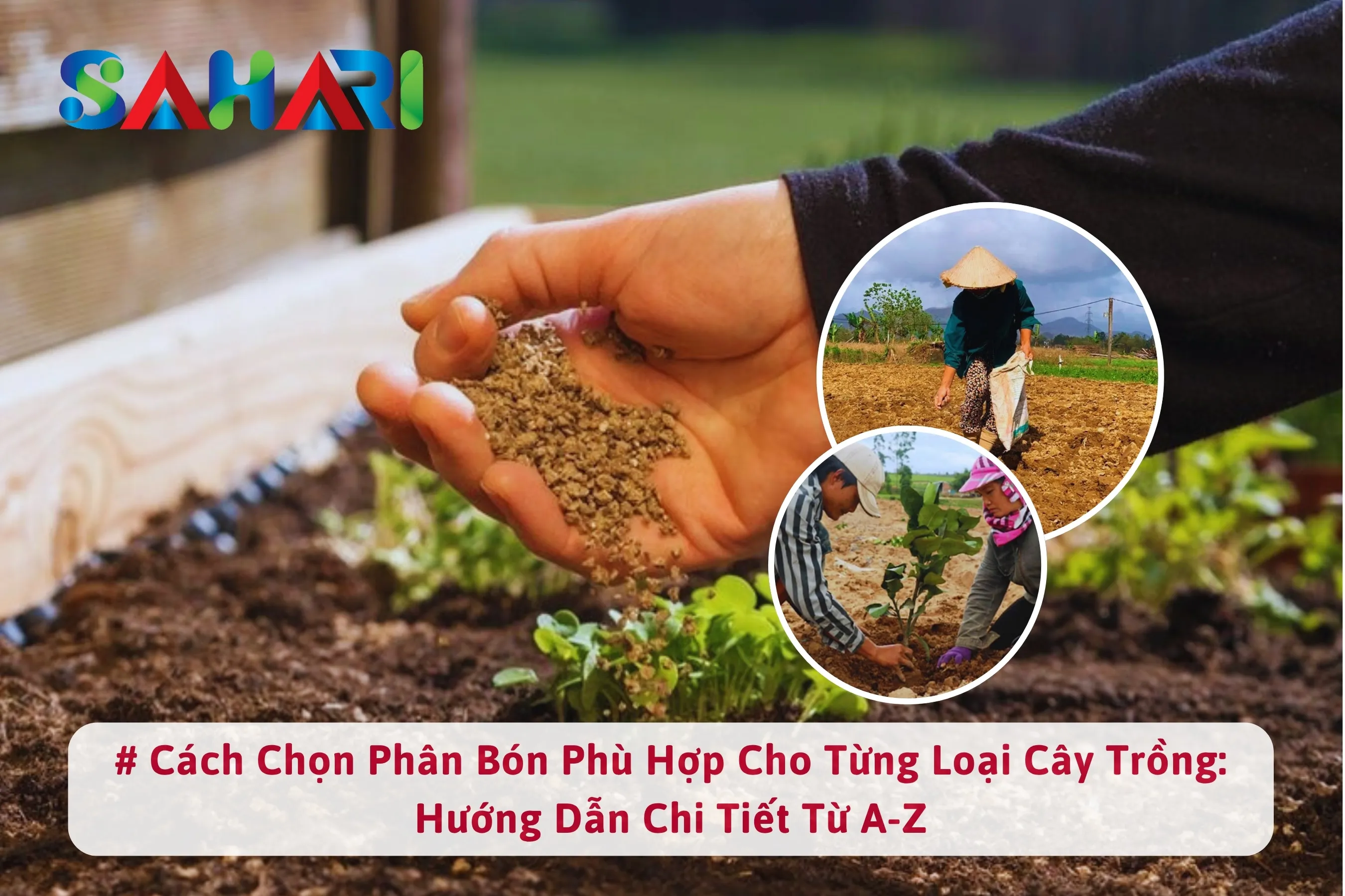 CÁCH CHỌN PHÂN BÓN PHÙ HỢP CHO TỪNG LOẠI CÂY TRỒNG: HƯỚNG DẪN CHI TIẾT TỪ A-Z