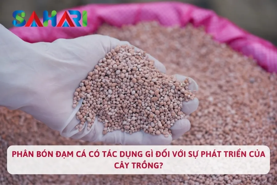 Phân Bón Đạm Cá Có Tác Dụng Gì Đối Với Sự Phát Triển Của Cây Trồng?