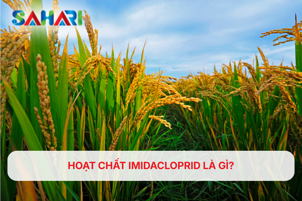 HOẠT CHẤT IMIDACLOPRID LÀ GÌ?