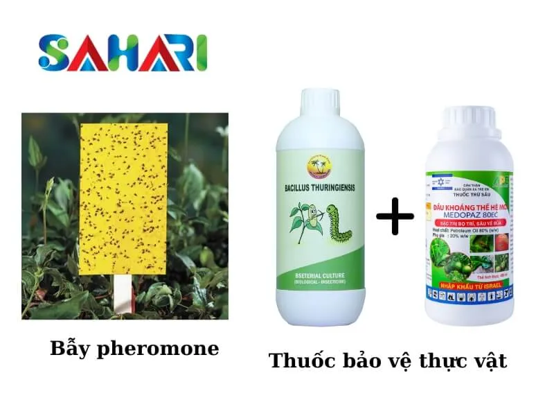 Sử dụng thuốc bảo vệ thực vật đúng cách