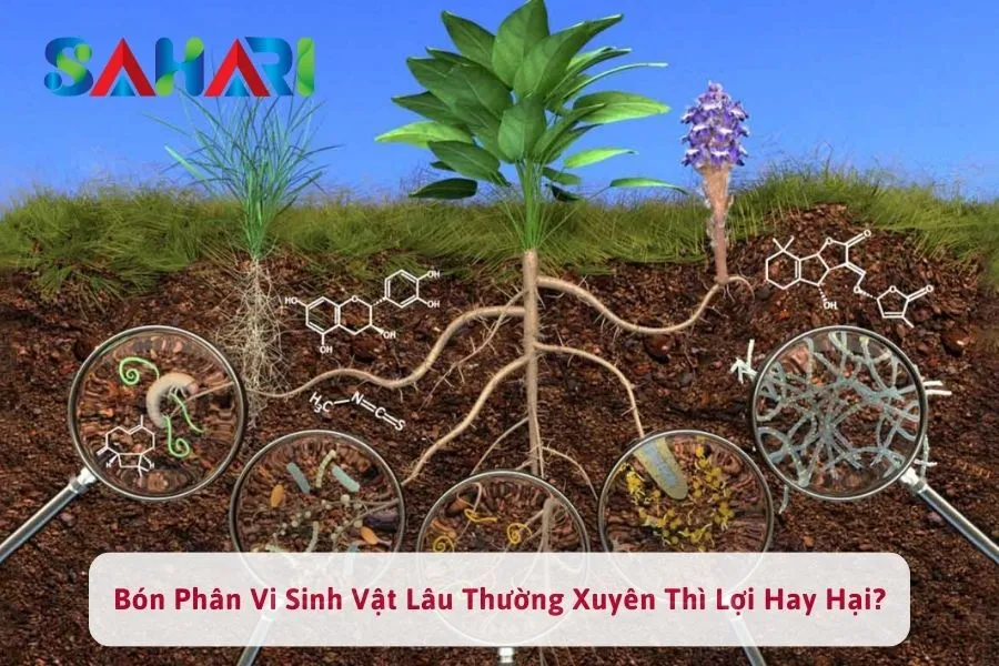 Bón Phân Vi Sinh Vật Lâu Thường Xuyên Thì Lợi Hay Hại?