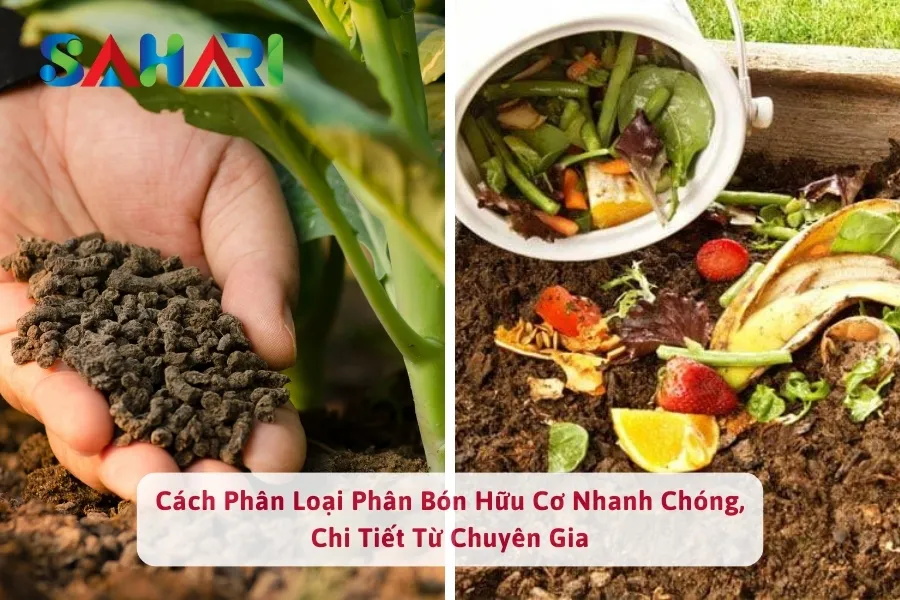 Cách Phân Loại Phân Bón Hữu Cơ, Hướng Dẫn Chi Tiết Từ Chuyên Gia