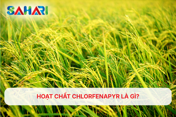 HOẠT CHẤT CHLORFENAPYR LÀ GÌ?