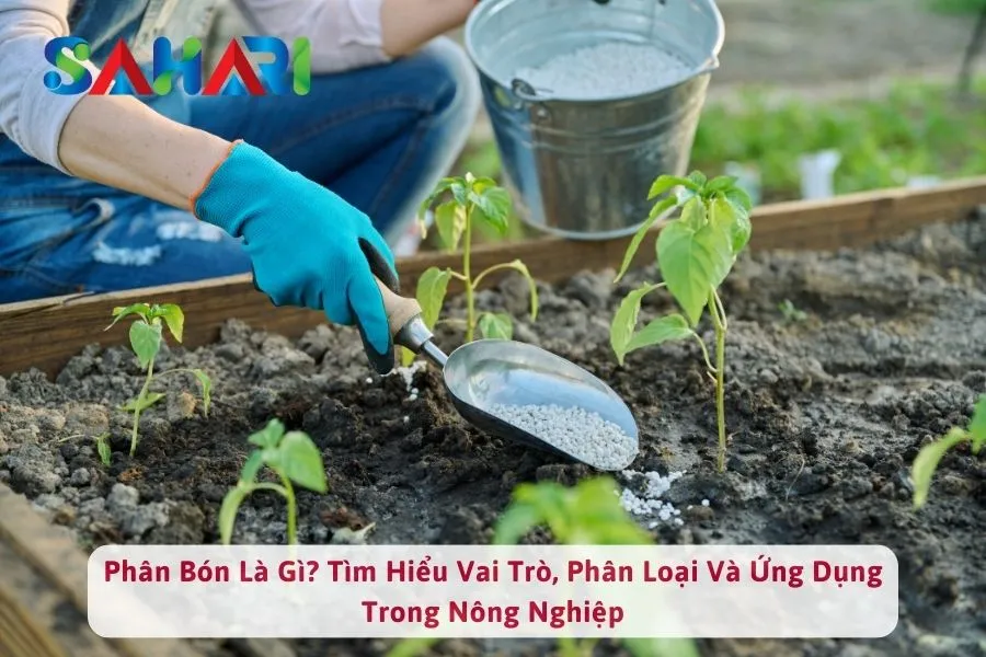 Phân Bón Là Gì? Tìm Hiểu Vai Trò, Phân Loại Và Ứng Dụng Trong Nông Nghiệp