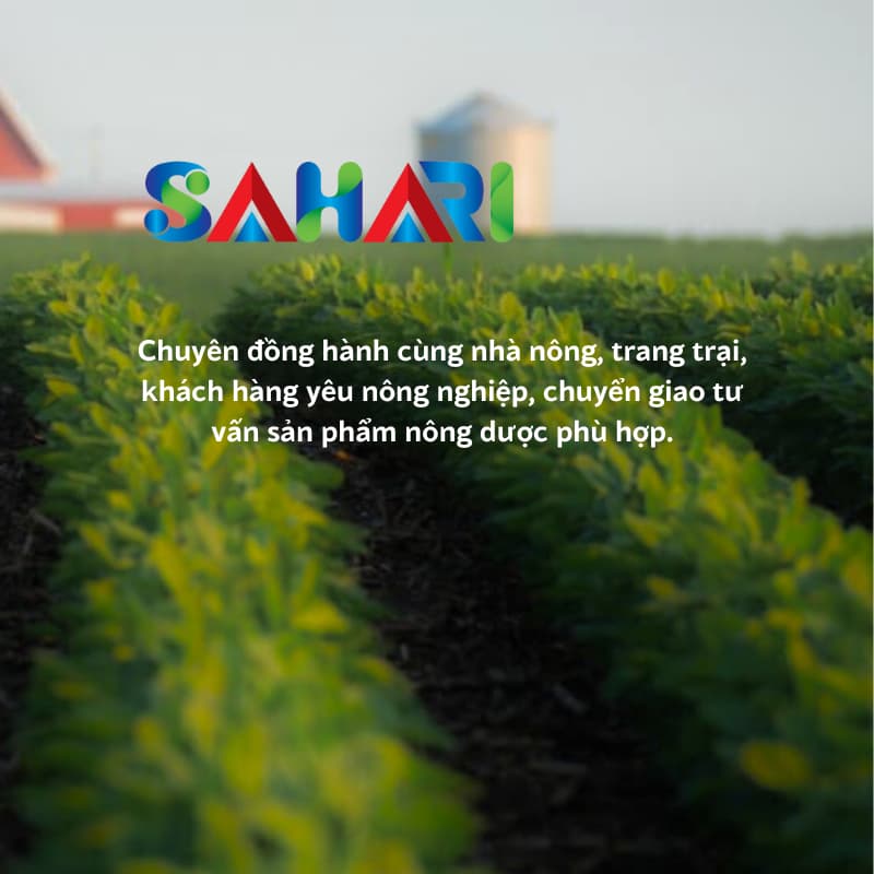Sahari Chuyên Cung Cấp Nghiên Cứu, Thương Mại Ứng Dụng Nông Dược