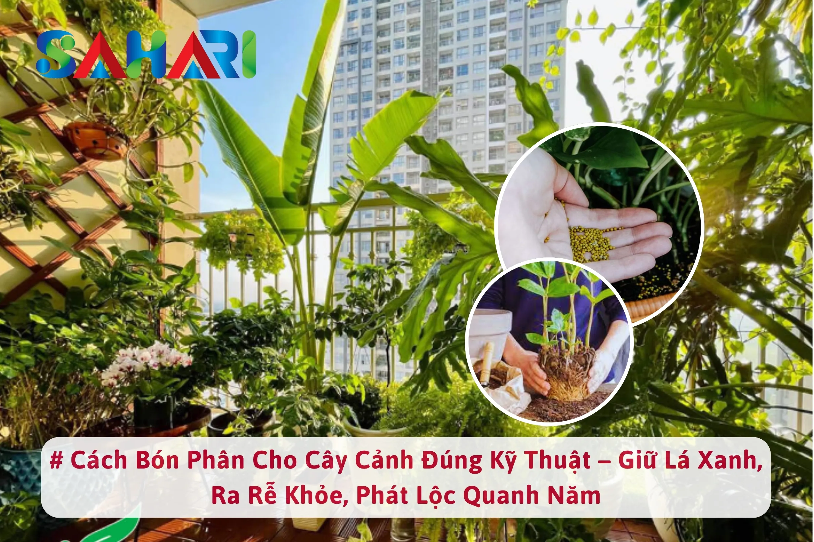 CÁCH BÓN PHÂN CHO CÂY CẢNH ĐÚNG KỸ THUẬT – GIỮ LÁ XANH, RA RỄ KHỎE, PHÁT LỘC QUANH NĂM