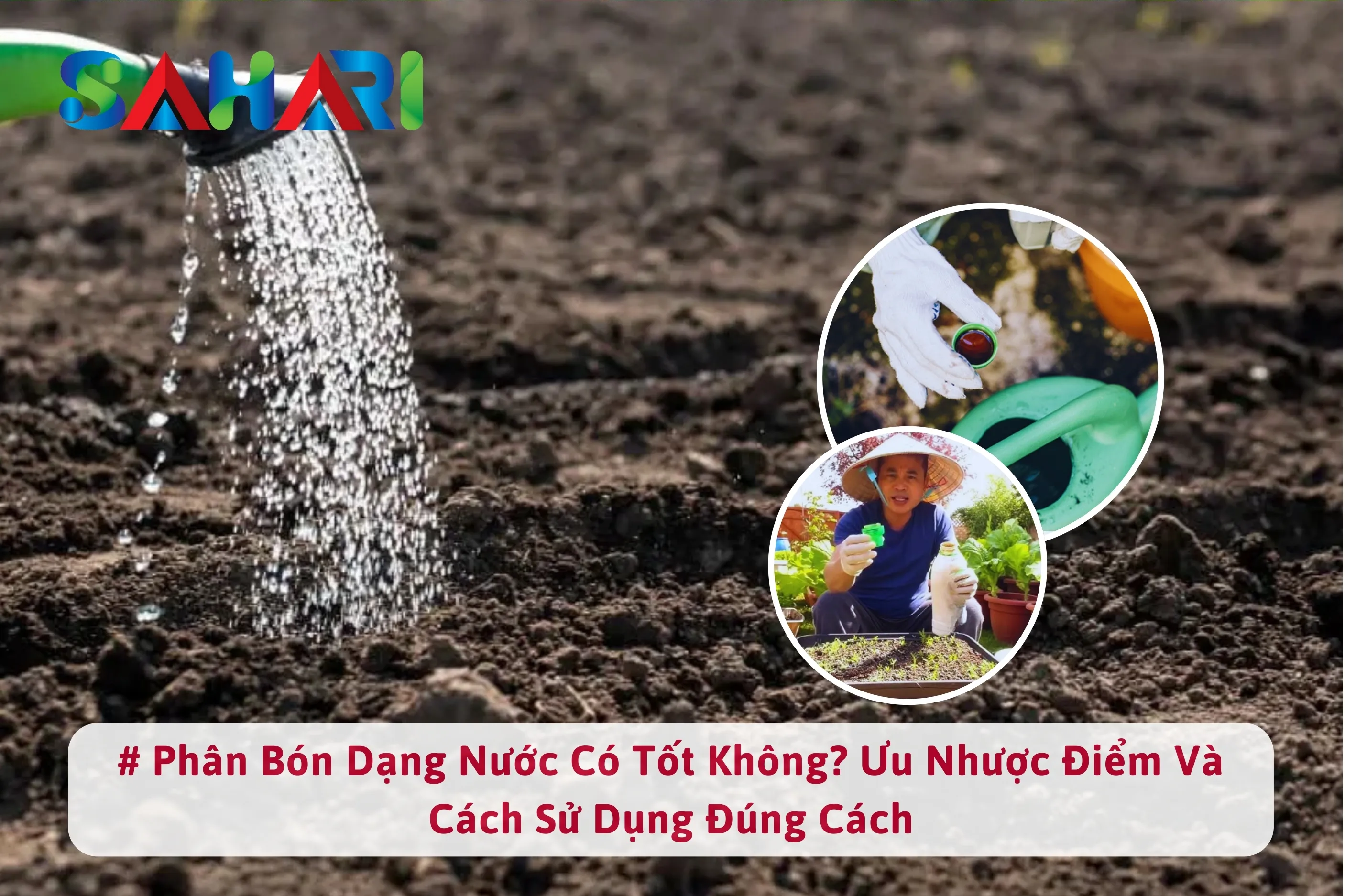 PHÂN BÓN DẠNG NƯỚC CÓ TỐT KHÔNG? ƯU NHƯỢC ĐIỂM VÀ CÁCH SỬ DỤNG ĐÚNG CÁCH