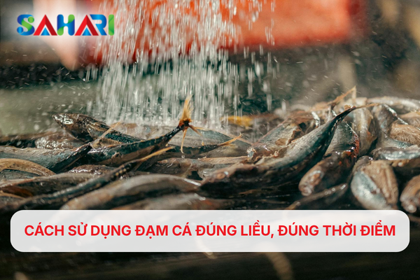 CÁCH SỬ DỤNG ĐẠM CÁ ĐÚNG LIỀU, ĐÚNG THỜI ĐIỂM