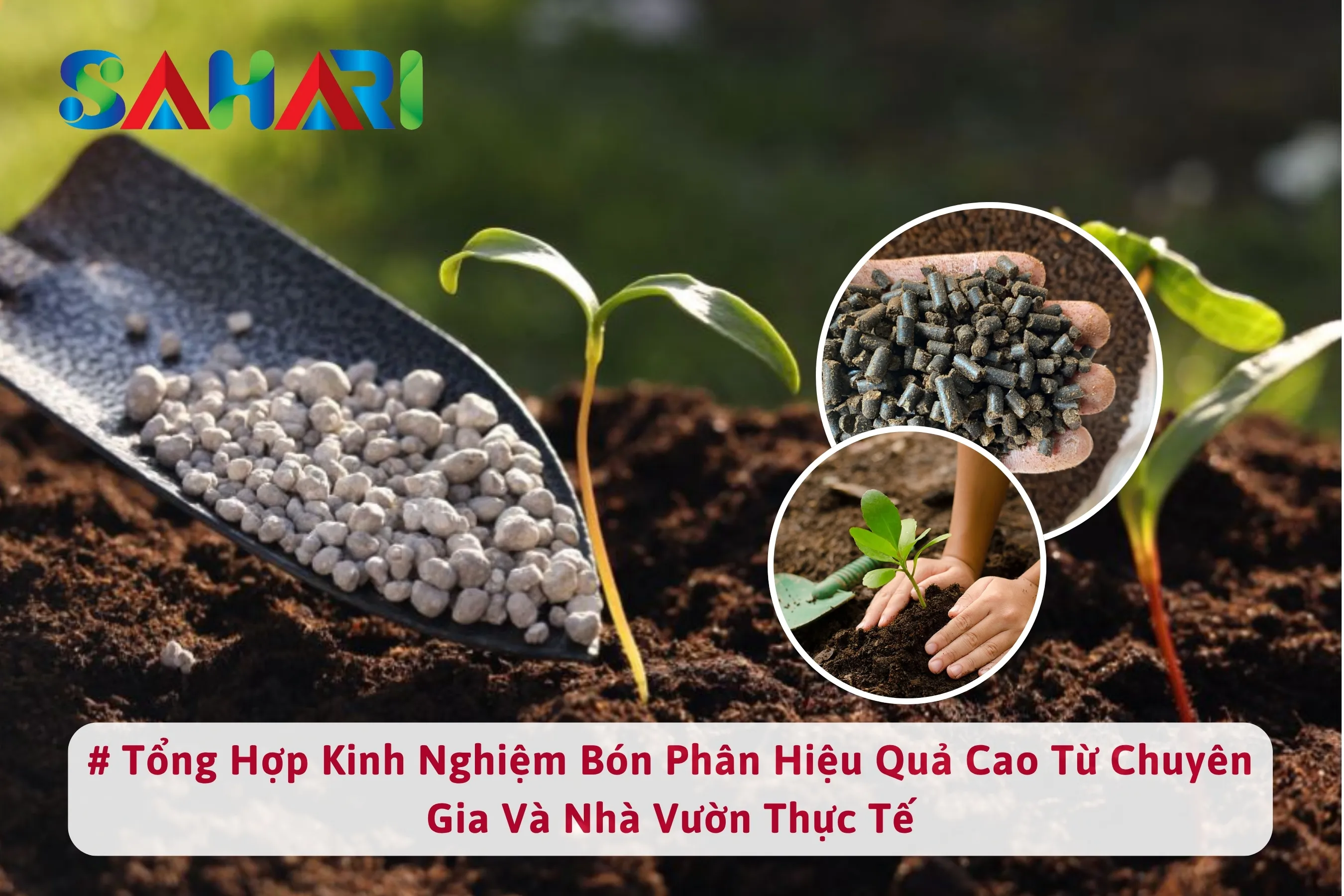 TỔNG HỢP KINH NGHIỆM BÓN PHÂN HIỆU QUẢ CAO TỪ CHUYÊN GIA VÀ NHÀ VƯỜN THỰC TẾ