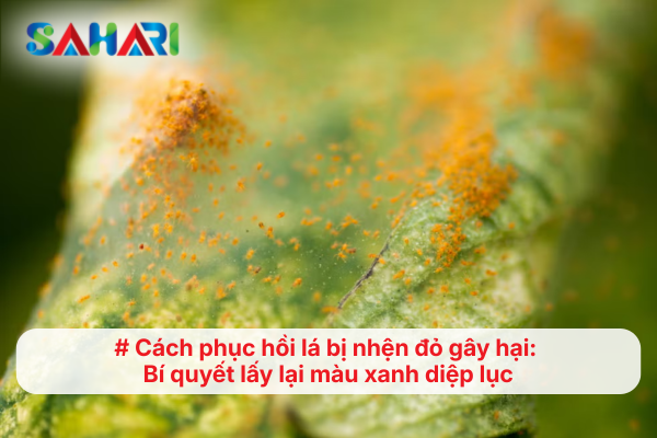 Cách phục hồi lá bị nhện đỏ gây hại: Bí quyết lấy lại màu xanh diệp lục