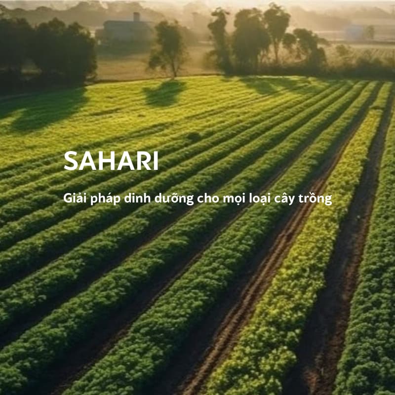 Sahari Chuyên Cung Cấp Nghiên Cứu, Thương Mại Ứng Dụng Nông Dược