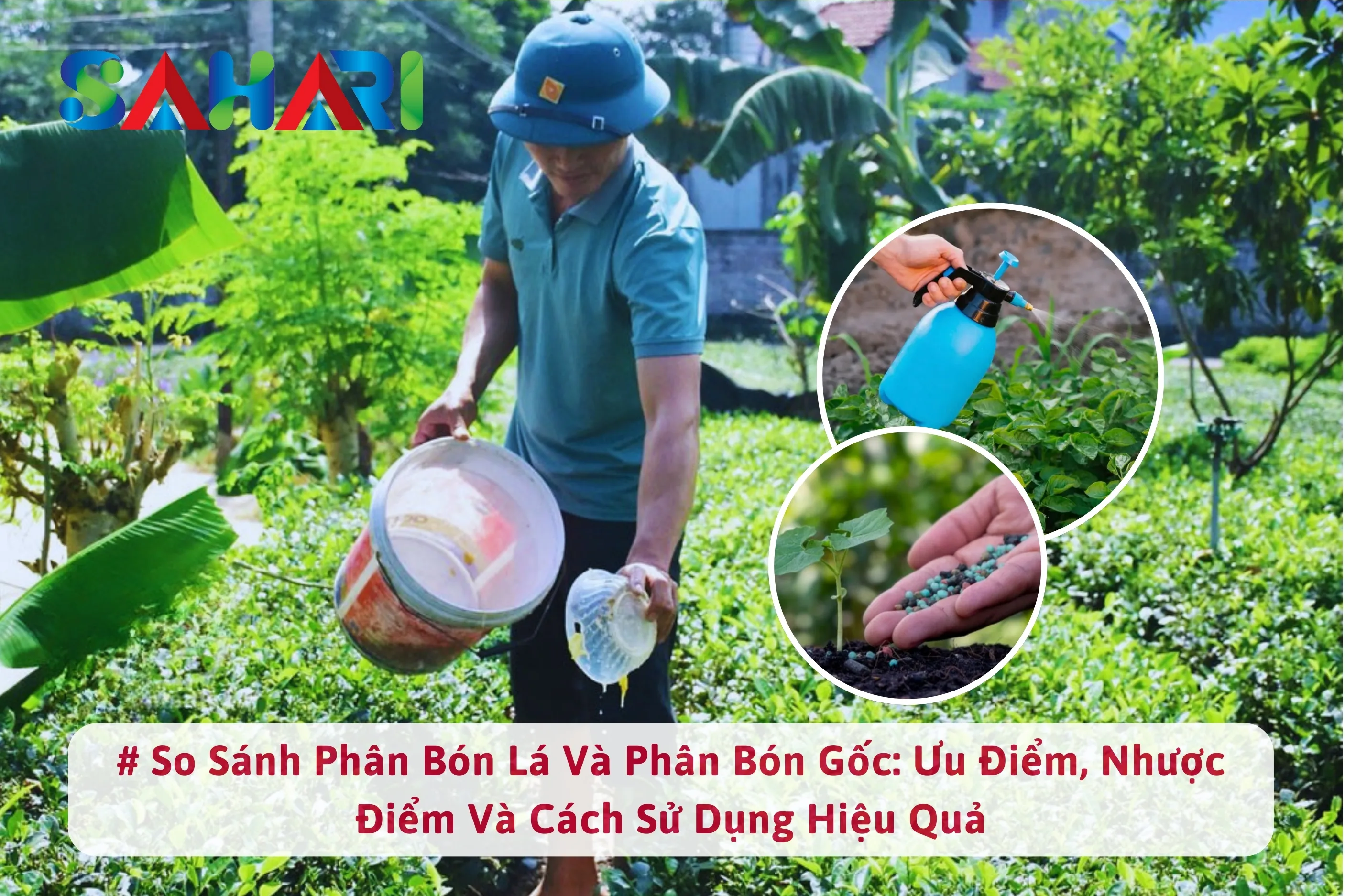 SO SÁNH PHÂN BÓN LÁ VÀ PHÂN BÓN GỐC: ƯU ĐIỂM, NHƯỢC ĐIỂM VÀ CÁCH SỬ DỤNG HIỆU QUẢ