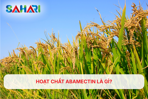 HOẠT CHẤT ABAMECTIN LÀ GÌ?