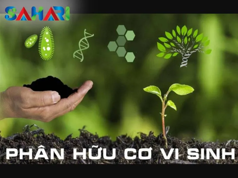 Phân hữu cơ vi sinh