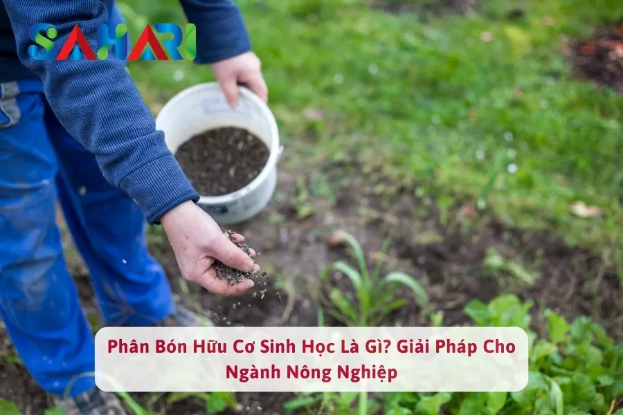 Phân Bón Hữu Cơ Sinh Học Là Gì? Lợi Ích Như Thế Nào Đối Với Cây Trồng