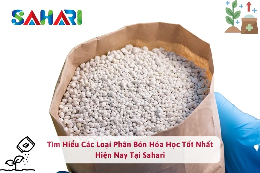 Tìm Hiểu Các Loại Phân Bón Hóa Học Tốt Nhất Hiện Nay 