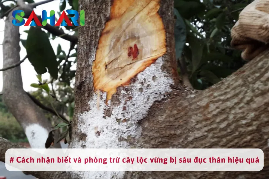 # Cách nhận biết và phòng trừ cây lộc vừng bị sâu đục thân hiệu quả