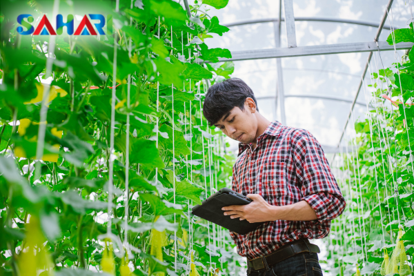 Sahari – Giải pháp nông nghiệp bền vững cho trang trại lớn