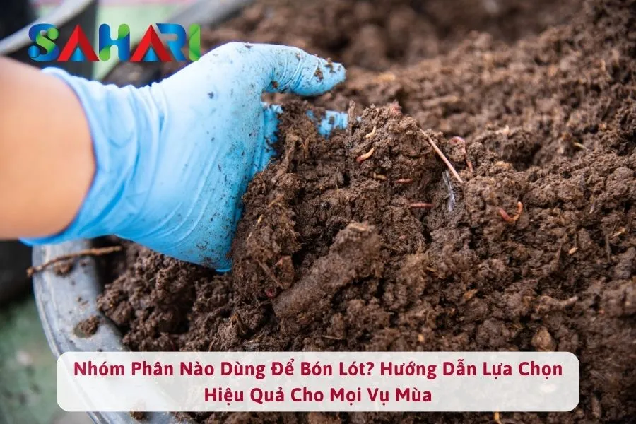 Nhóm Phân Nào Dùng Để Bón Lót? Hướng Dẫn Lựa Chọn Hiệu Quả Cho Mọi Vụ Mùa
