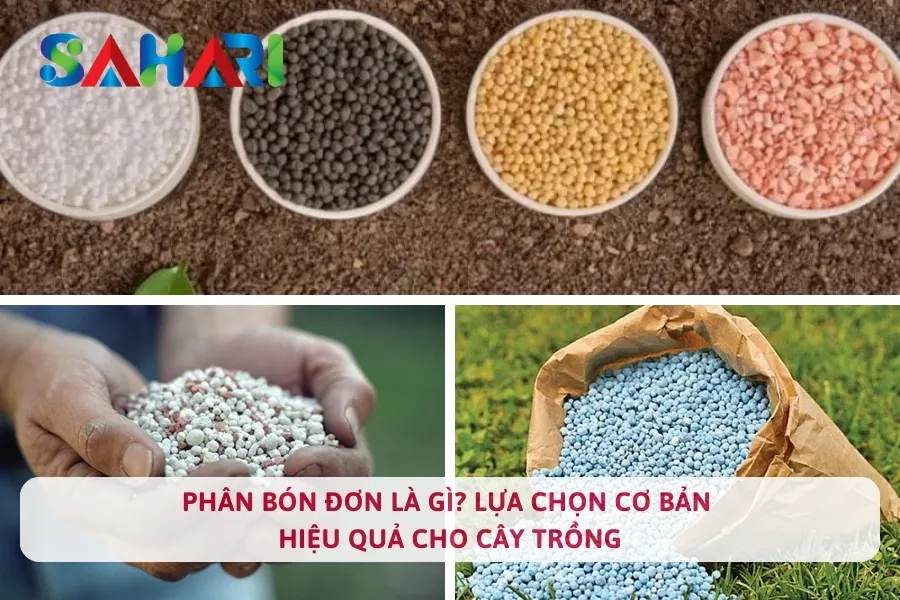 Phân Bón Đơn Là Gì? Lựa Chọn Cơ Bản Hiệu Quả Cho Cây Trồng