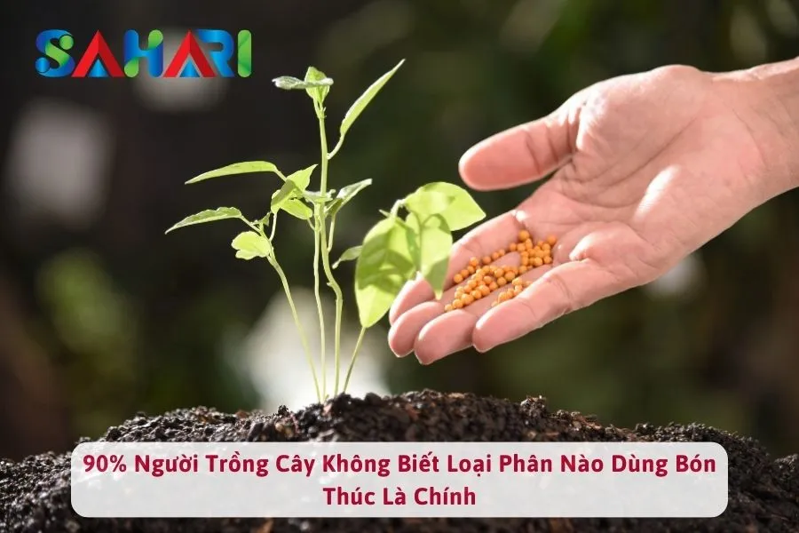 90% Người Trồng Cây Không Biết Loại Phân Nào Dùng Bón Thúc Là Chính