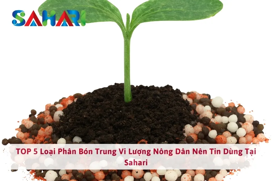 Phân Bón Trung Vi Lượng Là Gì? Công Dụng  Và Cách Sử Dụng Để Giúp Cây Đạt Năng Suất